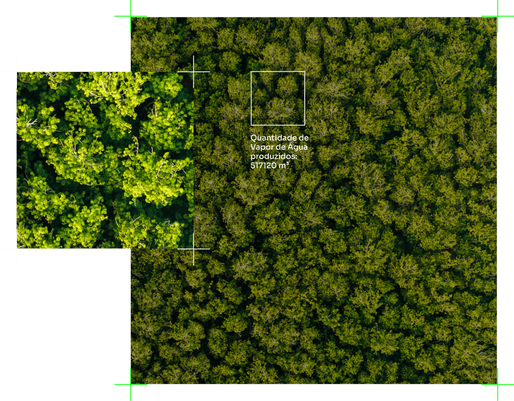 satelite